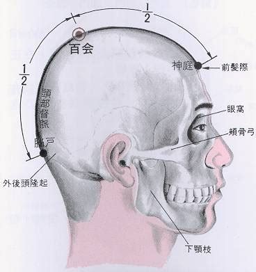 天竅穴位置|醫砭 » 經穴庫 » 天髎